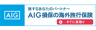AIG損保 国内旅行傷害保険AIG損保 海外旅行保険