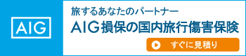 AIG損保 海外旅行保険