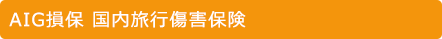 AIG損保 海外旅行保険
